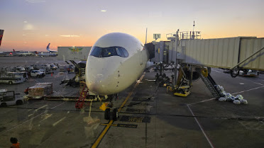 Sunset at Gate E10: Delta Airbus A350-900 Nose Under Twilight Skies