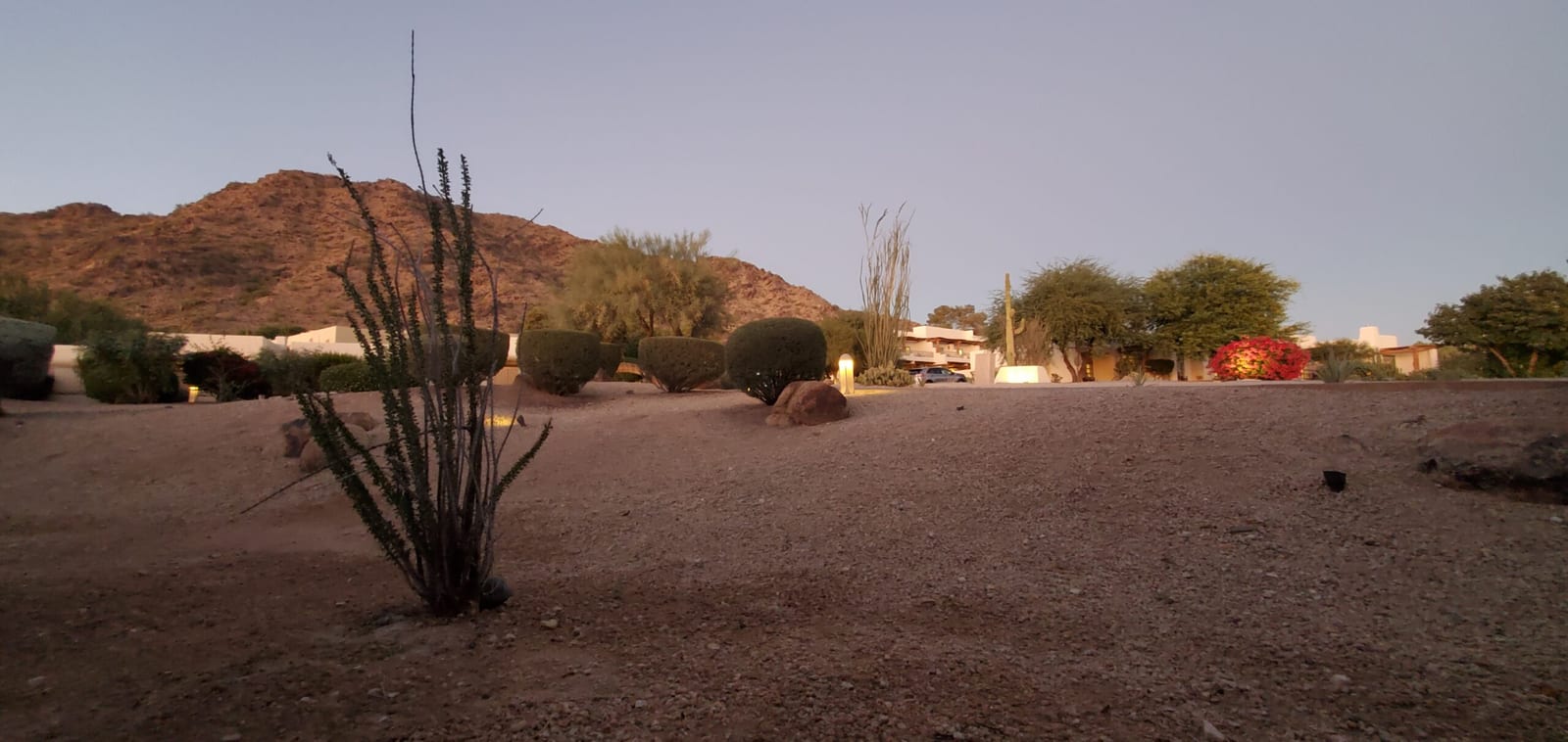 Dusk over Mummy Mountain as resort lighting highlights desert cacti and architecture. Twilight landscape lighting illuminating desert flora and Mummy Mountain