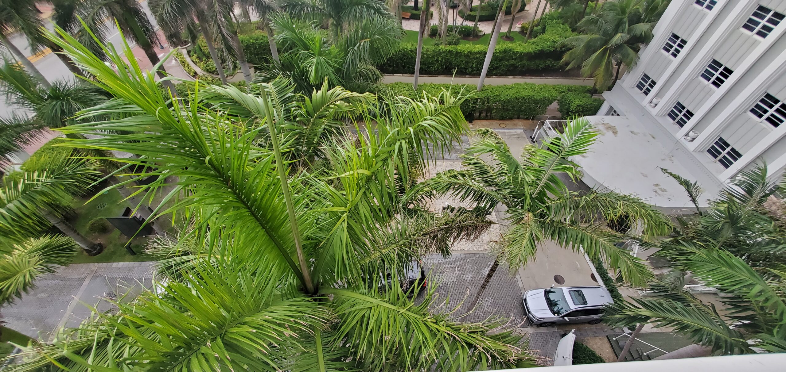 Hotel Hopping In Miami - Photo 22